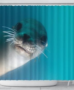 Curious Seal Shower Curtain
