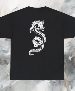 Dragon Aesthtetic T-shirt SD